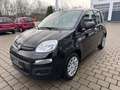 Fiat Panda MY25 1.0 GSE *5-Sitzer*GRA* PDC*Bluet.* Noir - thumbnail 4