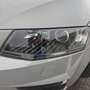 Skoda Octavia ///VERKAUFT/// Grau - thumbnail 8