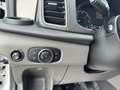 Ford Transit Blanco - thumbnail 17