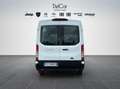 Ford Transit Bianco - thumbnail 5