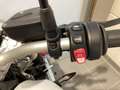 BMW R nineT Scrambler Option 719 Grün - thumbnail 10