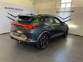 CUPRA Formentor 2.0 TDI 4X4 150 CV AUTOMATICA Verde - thumbnail 6