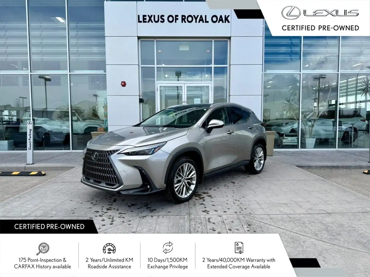 2024 Lexus NX