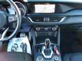 Alfa Romeo Stelvio 2.2 Turbodiesel 160 CV AT8 RWD Super Business Blu/Azzurro - thumbnail 14