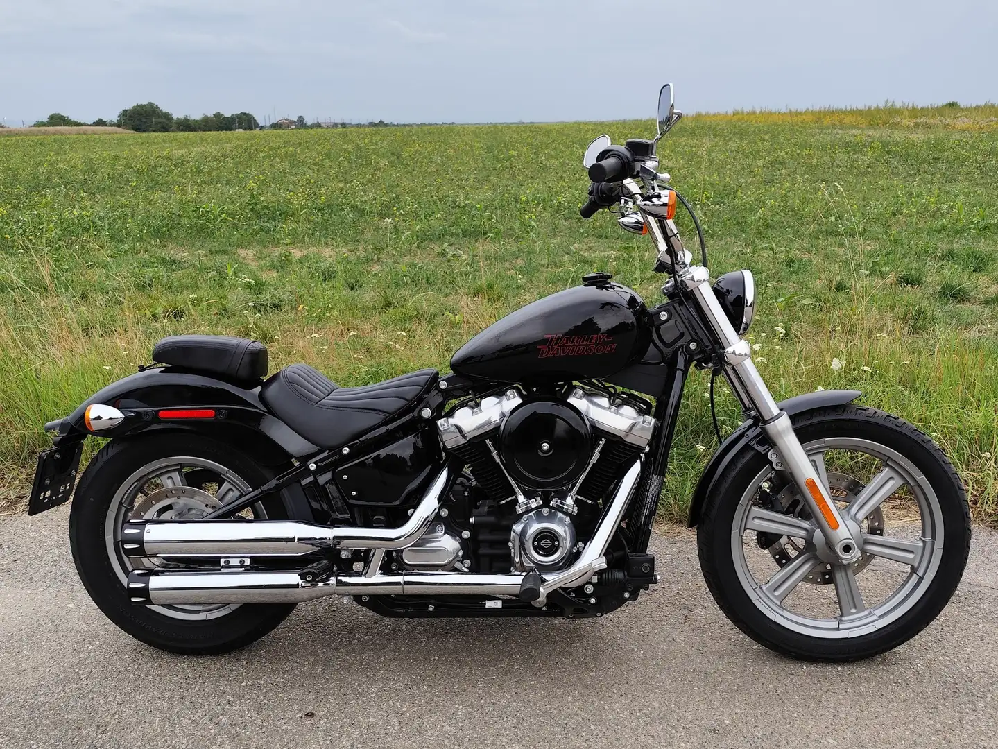 Harley-Davidson Softail Standard FXST Schwarz - 1