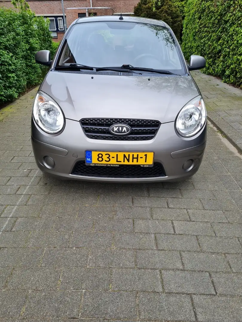 Kia Picanto 1.0 X-pect Gris - 1