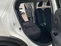 Nissan Juke 1.6 GPL ECO VISIA UNIPROPRIETARIO Bianco - thumbnail 11