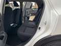 Nissan Juke 1.6 GPL ECO VISIA UNIPROPRIETARIO Bianco - thumbnail 10