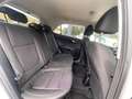 Kia Rio Dream Team*PDC*SHZ*Bluetooth*Lenkrad Hzg* Weiß - thumbnail 41
