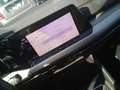 Volkswagen Golf 2.0TDI Life 85kW - thumbnail 11