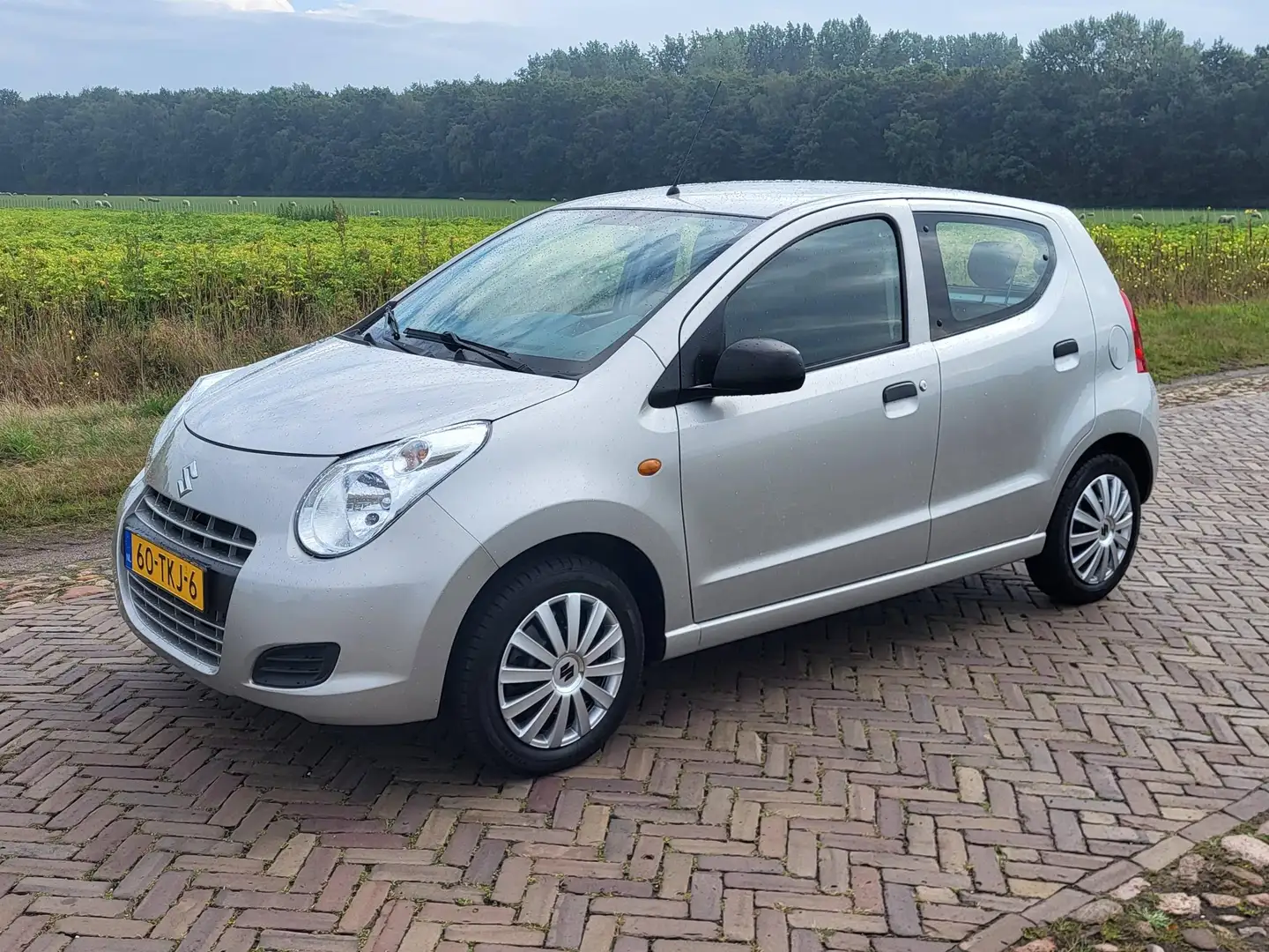 Suzuki Alto Alto 1.0 Comfort Plus Silber - 2