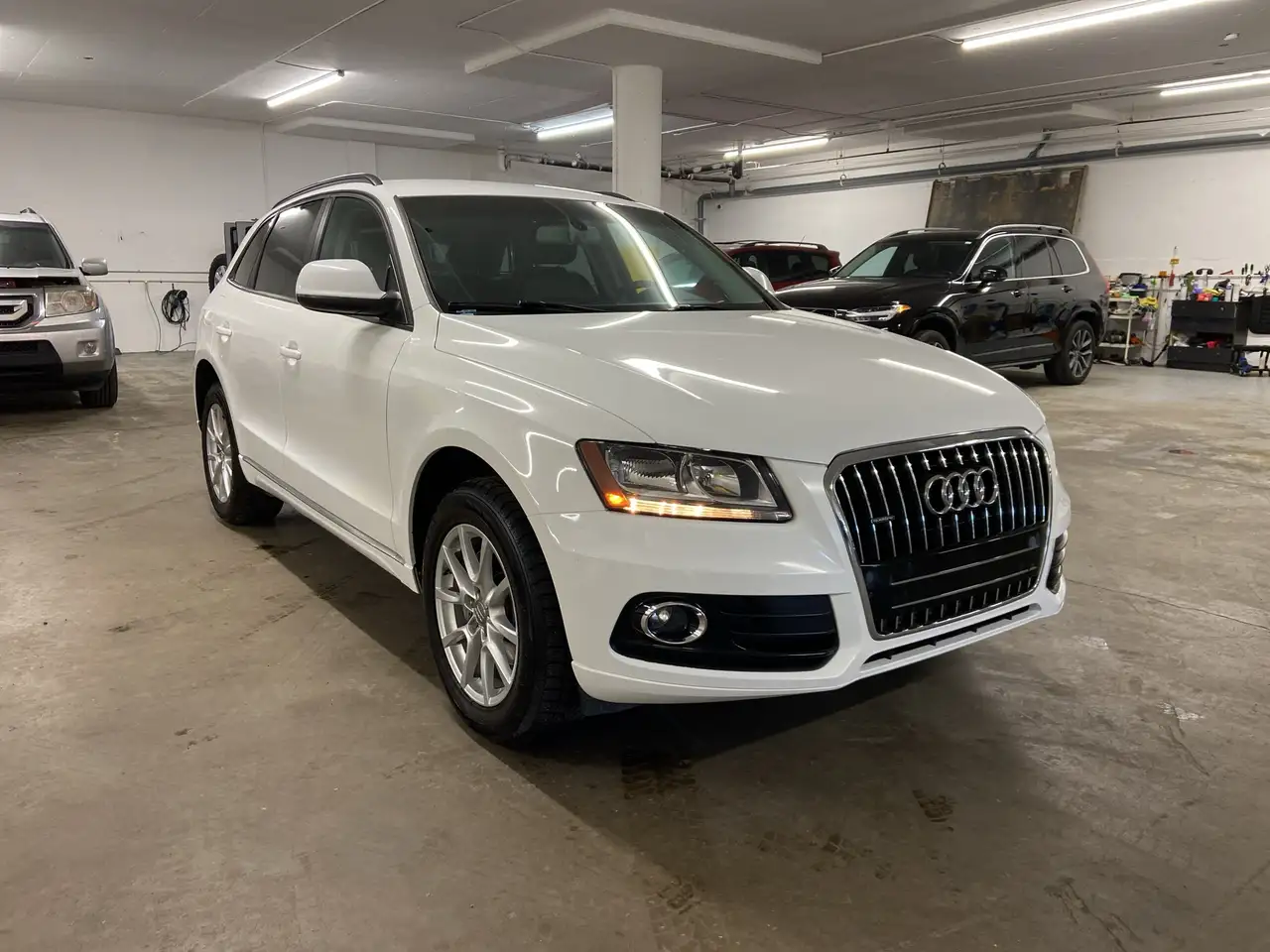 Audi Q5 fotografie Audi Q5