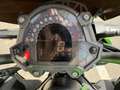Kawasaki 900 Z ABS Full 125cv Verde - thumbnail 9