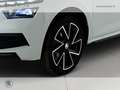 Skoda Kamiq 1.0 tsi monte carlo 110cv Bianco - thumbnail 14