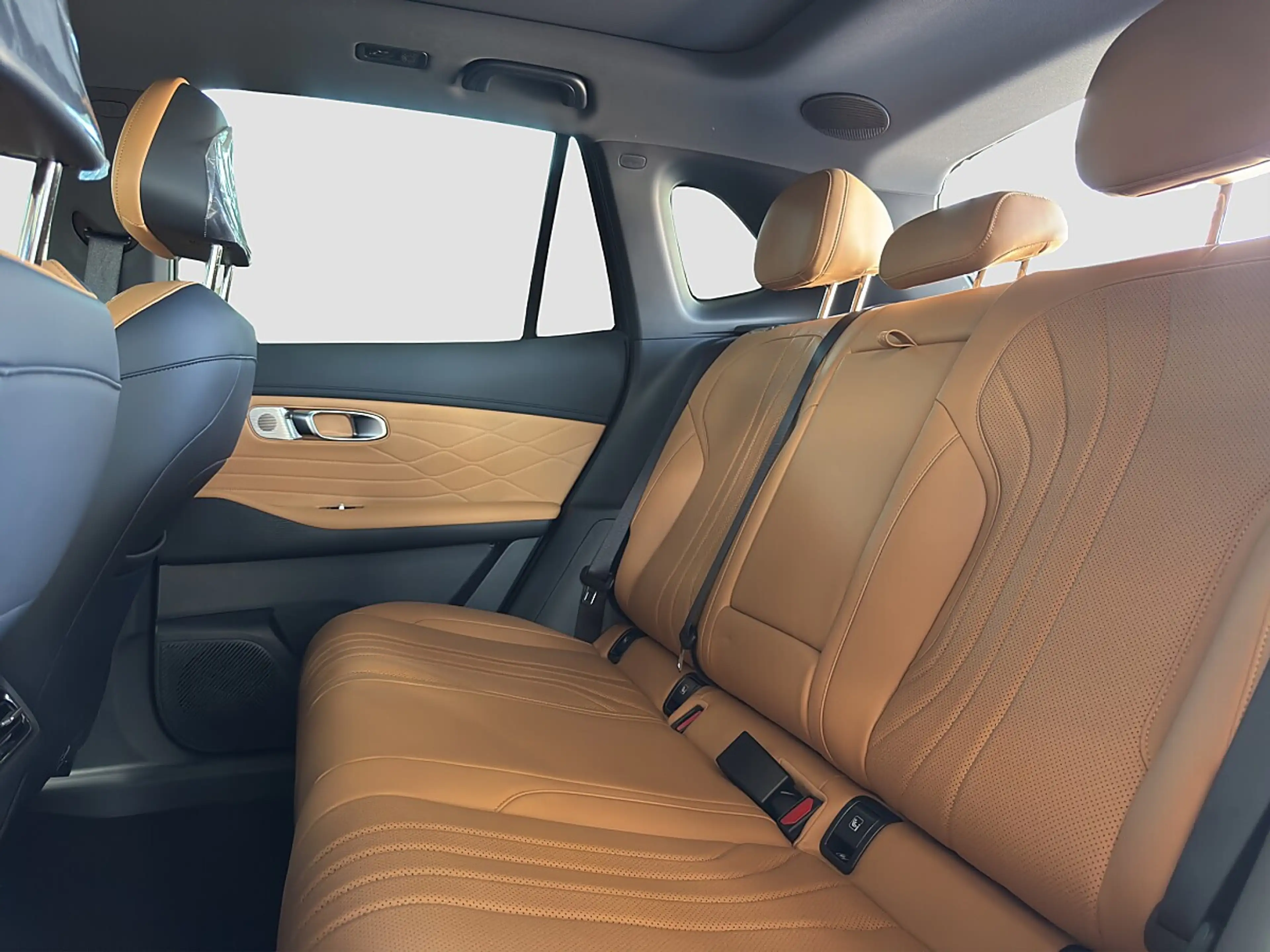 Geely Starray EM-i Max+ 8 Jahre Garantie — photo 8