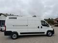 Citroen Jumper KW L3H2 3,5t Heavy Diesel 140 Automatik Weiß - thumbnail 7