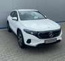 Mercedes-Benz EQA 250+ 140 kW Urban-/Progressive TOTWINKEL LED Wit - thumbnail 2