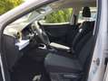 SEAT Ibiza Reference Plus, HU+AU NEU, wenig km, viele Extras Weiß - thumbnail 13