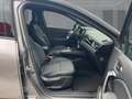 Renault Captur RIVE GAUCHE TCe 160 EDC MILD-HYBRID Grau - thumbnail 8