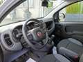Fiat Panda Panda 1.0 firefly hybrid s&s Grigio - thumbnail 8