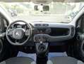 Fiat Panda Panda 1.0 firefly hybrid s&s Grigio - thumbnail 13