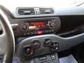 Fiat Panda Panda 1.0 firefly hybrid s&s Grigio - thumbnail 10