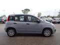 Fiat Panda Panda 1.0 firefly hybrid s&s Grigio - thumbnail 4