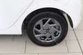 Kia Picanto Picanto 1.0 12V GPL 5 porte Urban Blanc - thumbnail 7