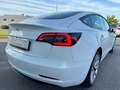 Tesla Model 3 60 kWh RWD Wärmepumpe 1. Hand LED Білий - thumbnail 10