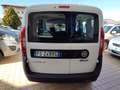 Fiat Doblo Doblo 1.6 mjt 16v Easy 95cv my19 Weiß - thumbnail 7