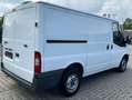 Ford Transit Transit 260 TDCi 260 Kühlwagen Mwst! Netto! - thumbnail 9