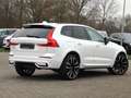Volvo XC60 XC60 T6 AWD R-Design Plug-In SD/Keyless-Start/BC Weiß - thumbnail 2