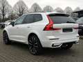 Volvo XC60 XC60 T6 AWD R-Design Plug-In SD/Keyless-Start/BC Weiß - thumbnail 4