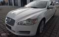 Jaguar XF 3.0 V6 Diesel S Premium Luxury Schwarz - thumbnail 18
