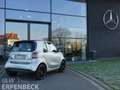 smart forTwo smart eq prime Selected Color Excl.Leder 22kw Silber - thumbnail 5