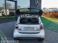 smart forTwo smart eq prime Selected Color Excl.Leder 22kw Silber - thumbnail 9