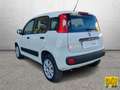 Fiat Panda Panda 0.9 t.air t. natural power Pop 80cv E6 Wit - thumbnail 4