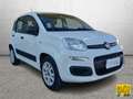 Fiat Panda Panda 0.9 t.air t. natural power Pop 80cv E6 Wit - thumbnail 2