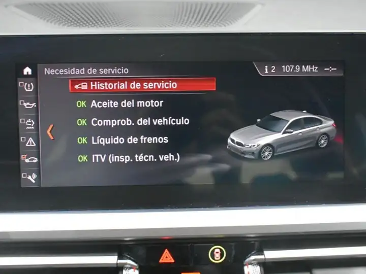BMW Serie 3 318d (F34) 2020, foto 19