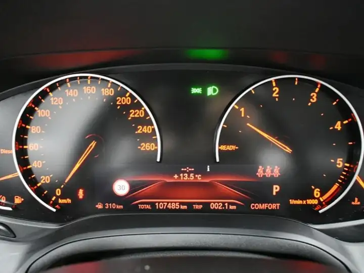 BMW Serie 3 318d (F34) 2020, foto 14