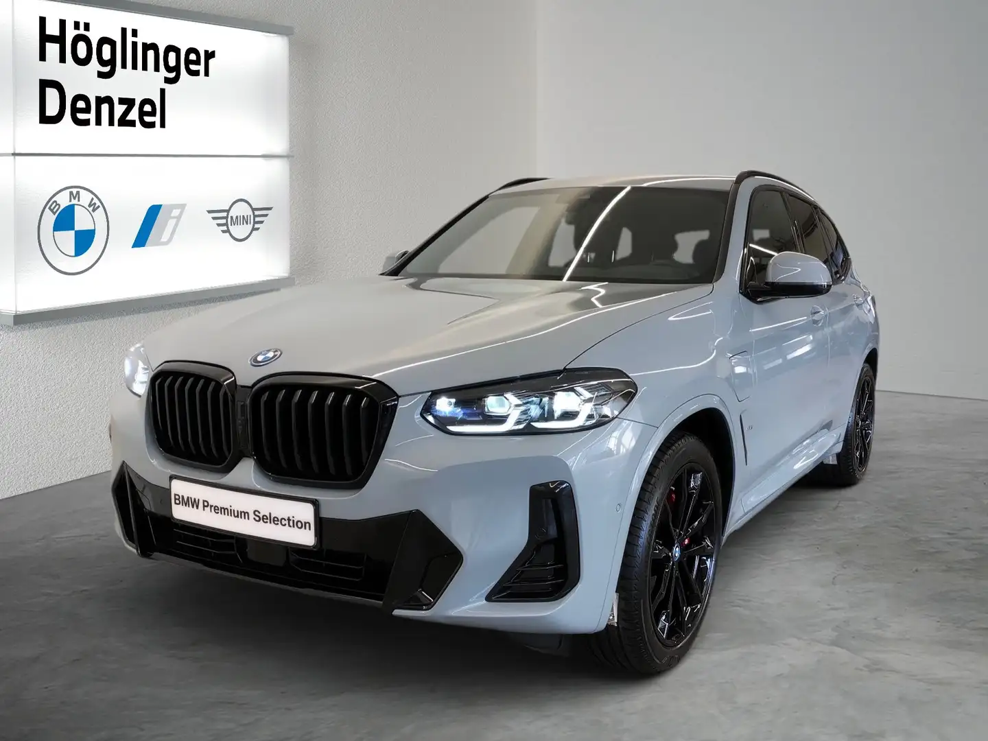 BMW X3 X3 xDrive30e Grau - 1