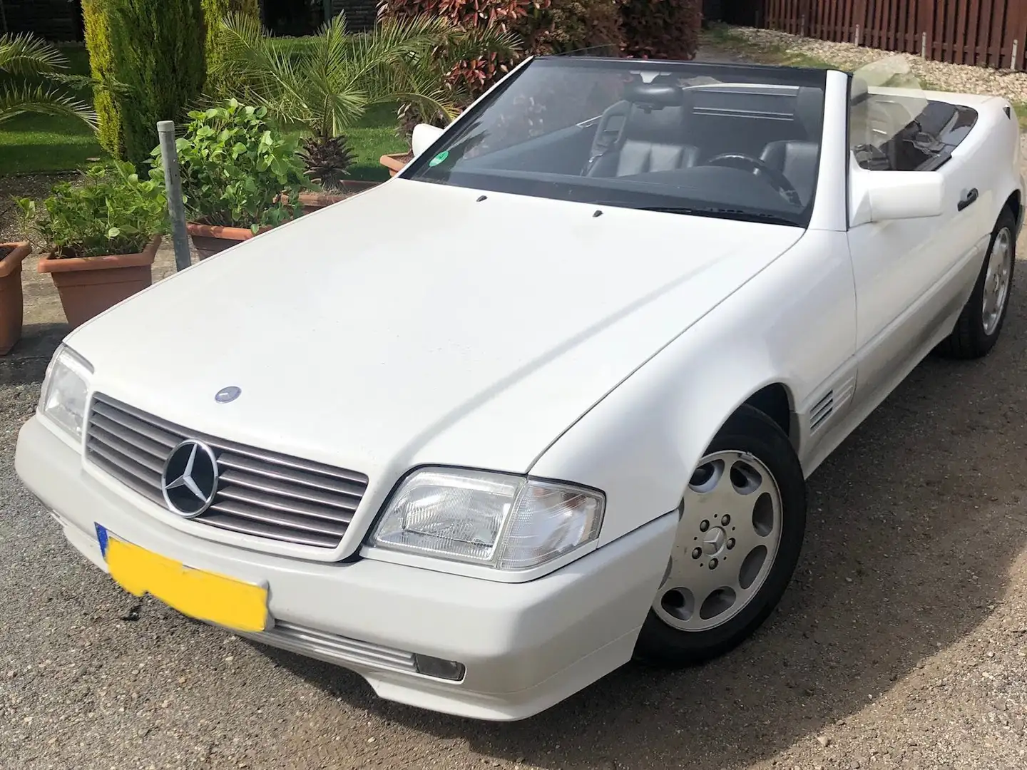 Mercedes-Benz SL 280 SL 280 Weiß - 1