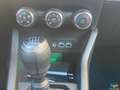 Renault Clio TCe 90 CV 5 porte Evolution Orange - thumbnail 16