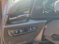 Kia Niro 1.6 Edition 7 ACC Navi FLA SpurH LM PDC Grau - thumbnail 18