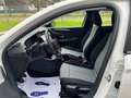 Opel Corsa New 1.2 Elegance  100CV KM.0 " PRONTA CONSEGNA " Blanc - thumbnail 5