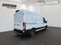 Ford Transit Trend Elektro 350 L2 Automatik+Kamera Wit - thumbnail 3