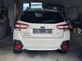 Subaru XV XV 1.6i CVT Style Navi Allrad Aut. Style Navi Weiß - thumbnail 7