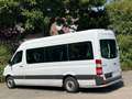 Mercedes-Benz Sprinter 313 Cdi Maxi 9Sitze Rollstuhllift Klima Blanco - thumbnail 2