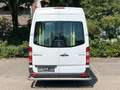 Mercedes-Benz Sprinter 313 Cdi Maxi 9Sitze Rollstuhllift Klima Blanco - thumbnail 15