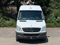 Mercedes-Benz Sprinter 313 Cdi Maxi 9Sitze Rollstuhllift Klima Blanco - thumbnail 18